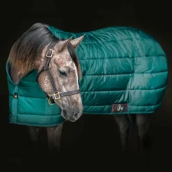 Adjusta-Fit Dura-Nylon Zenith Leg Strap Horse Stable Blanket - Heavyweight Weatherproof Protection 33 Adjusta-Fit Dura-Nylon Zenith Leg Strap Horse Stable Blanket - Heavyweight Weatherproof Protection -Schneiders Shop 10481 alt a
