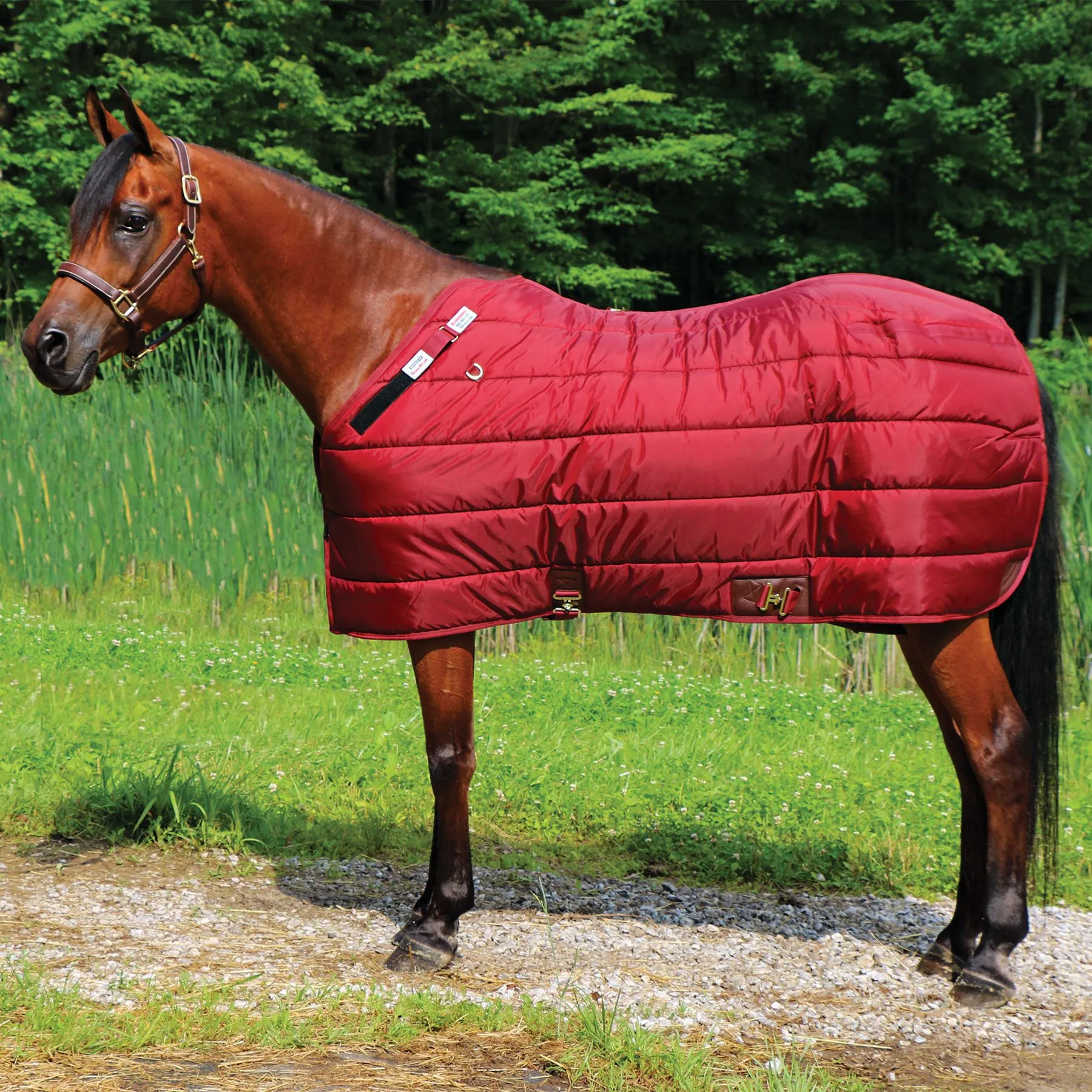 Adjusta-Fit Dura-Nylon Zenith Leg Strap Horse Stable Blanket - Heavyweight Weatherproof Protection 17 Adjusta-Fit Dura-Nylon Zenith Leg Strap Horse Stable Blanket - Heavyweight Weatherproof Protection - Image 17