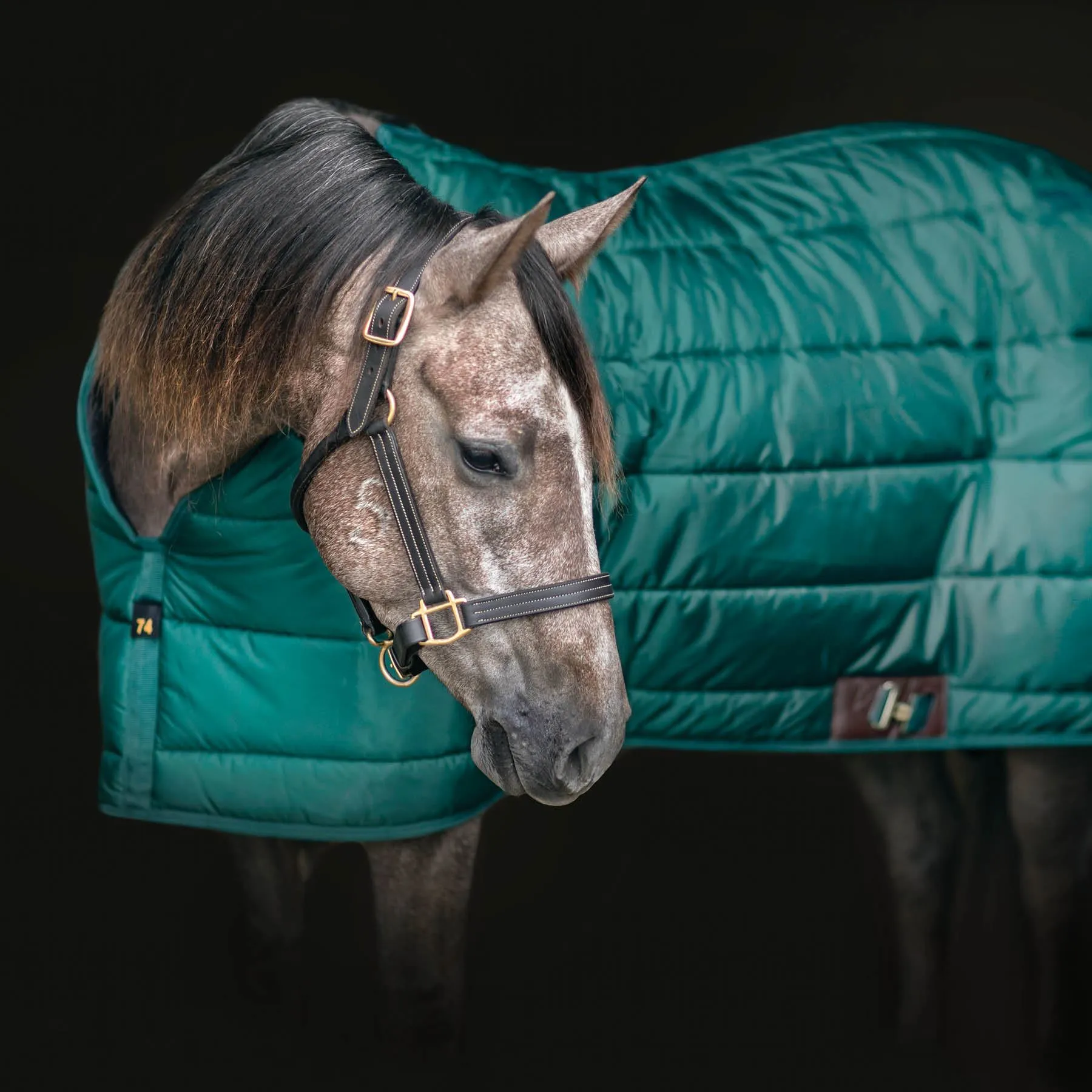 Adjusta-Fit Dura-Nylon Zenith Leg Strap Horse Stable Blanket - Heavyweight Weatherproof Protection 2 Adjusta-Fit Dura-Nylon Zenith Leg Strap Horse Stable Blanket - Heavyweight Weatherproof Protection - Image 2