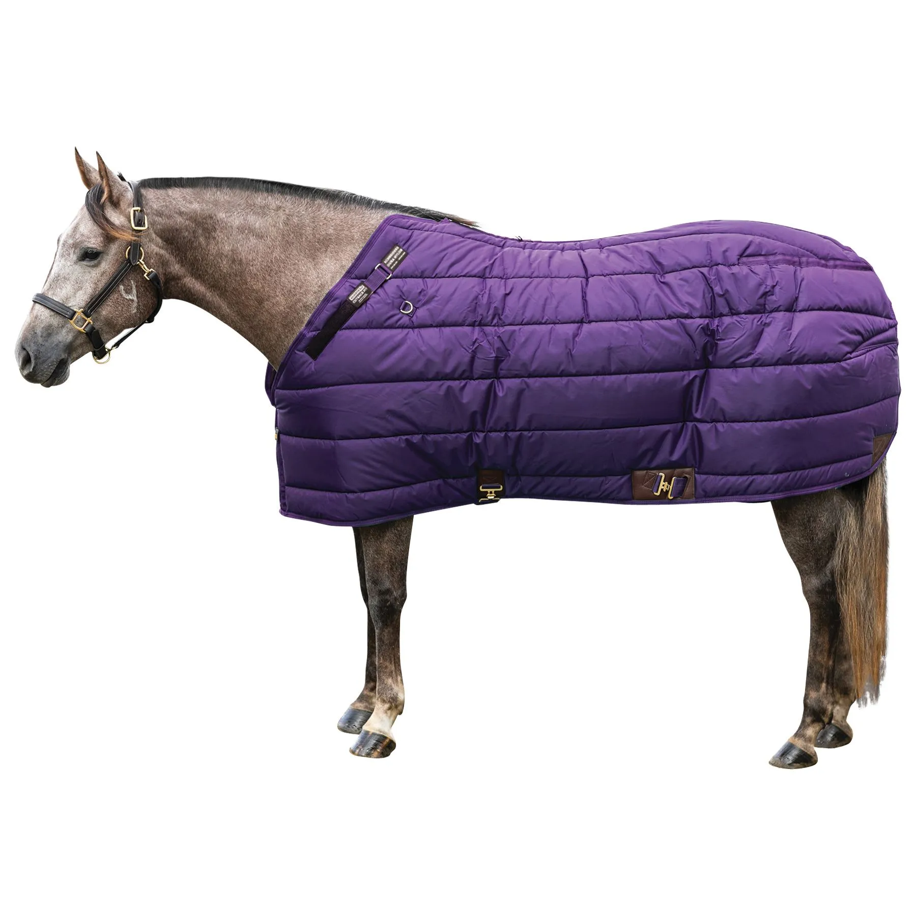 Adjusta-Fit Dura-Nylon Zenith Leg Strap Horse Stable Blanket - Heavyweight Weatherproof Protection 11 Adjusta-Fit Dura-Nylon Zenith Leg Strap Horse Stable Blanket - Heavyweight Weatherproof Protection - Image 11