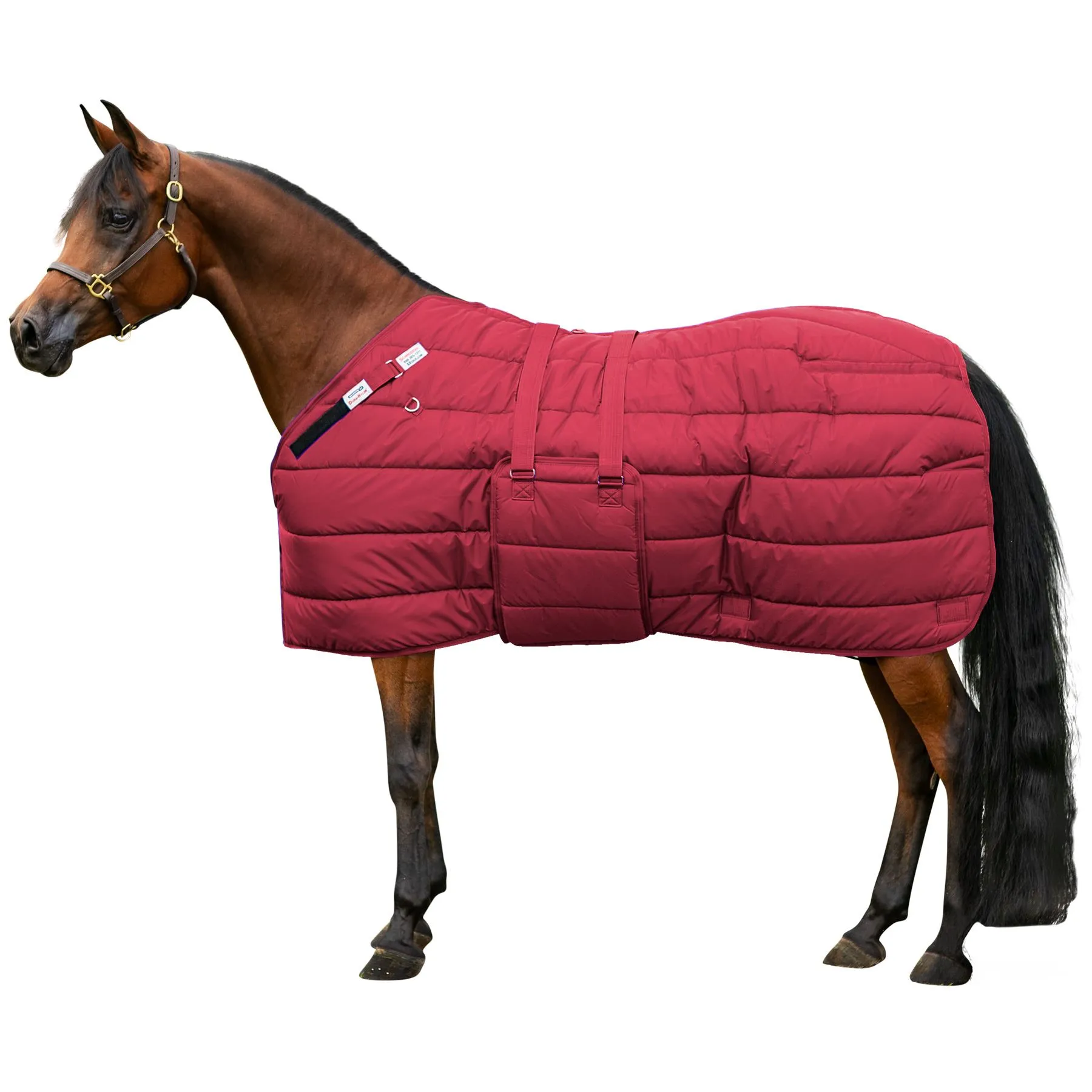 Adjusta-Fit Dura-Nylon Heavyweight Horse Stable Blanket - Original Bellyband Design 12 Adjusta-Fit Dura-Nylon Heavyweight Horse Stable Blanket - Original Bellyband Design - Image 12