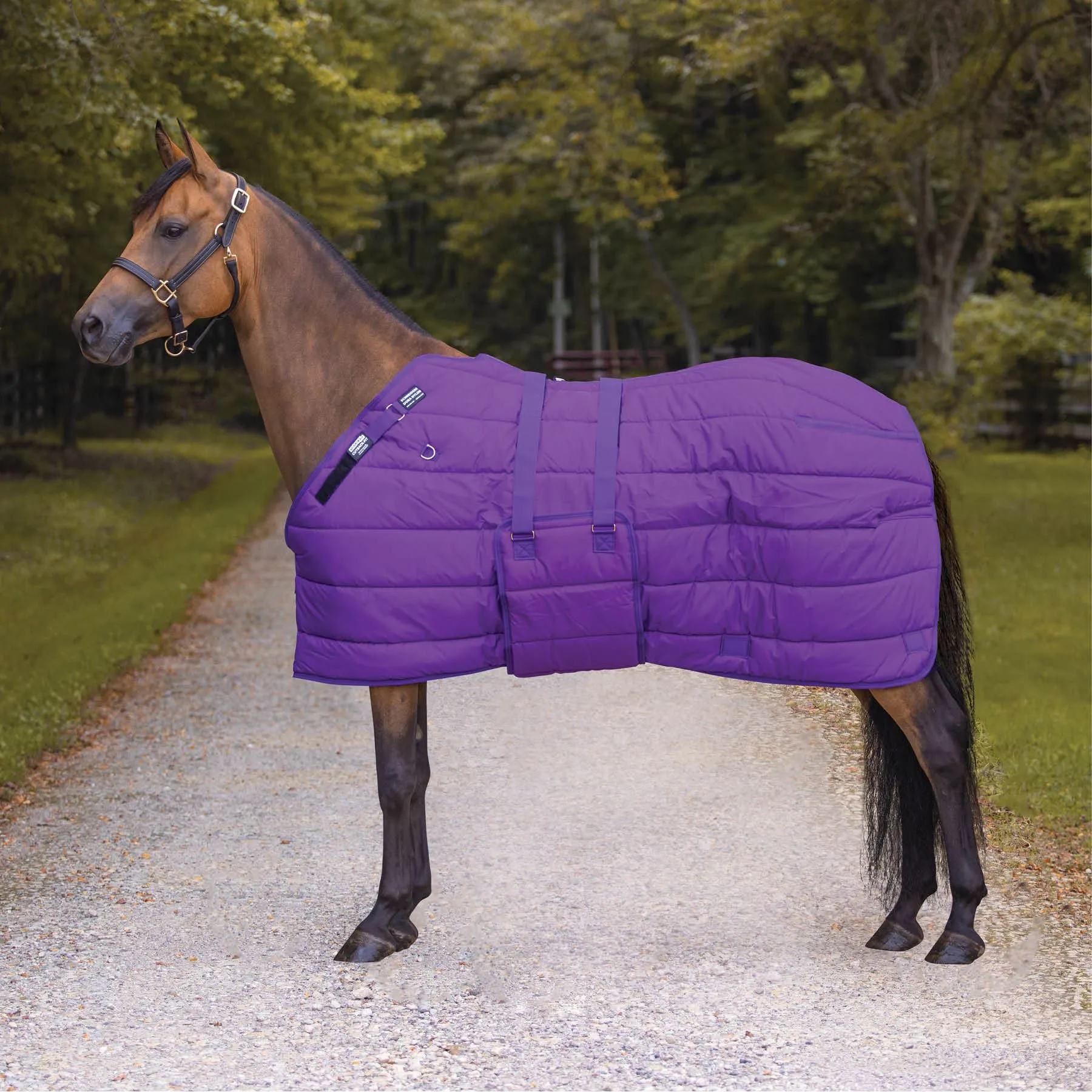 Adjusta-Fit Dura-Nylon Heavyweight Horse Stable Blanket - Original Bellyband Design 2 Adjusta-Fit Dura-Nylon Heavyweight Horse Stable Blanket - Original Bellyband Design - Image 2