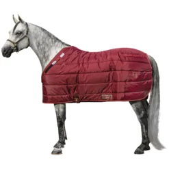 Adjusta-Fit Dura-Nylon Cutback Westcoast Leg Strap Horse Stable Blanket - Medium Weight | Horse Blankets -Schneiders Shop 10485 burgundy