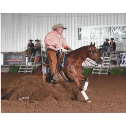 Adjusta-Fit Dura-Nylon Cutback Westcoast Leg Strap Horse Stable Blanket - Medium Weight | Horse Blankets -Schneiders Shop 10485 prof a