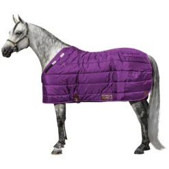 Adjusta-Fit Dura-Nylon Cutback Westcoast Leg Strap Horse Stable Blanket - Medium Weight | Horse Blankets -Schneiders Shop 10485 purple