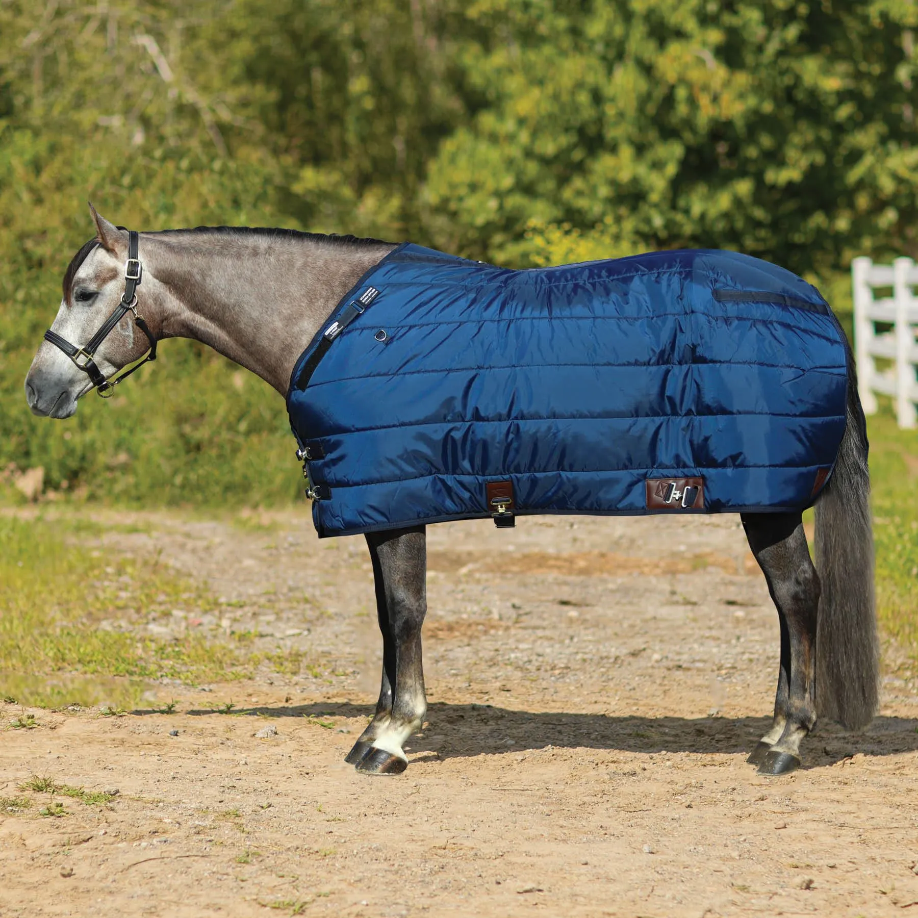 Adjusta-Fit Dura-Nylon V-Free Ocala Midweight Horse Stable Blanket - Open Front Leg Strap Design 2 Adjusta-Fit Dura-Nylon V-Free Ocala Midweight Horse Stable Blanket - Open Front Leg Strap Design - Image 2