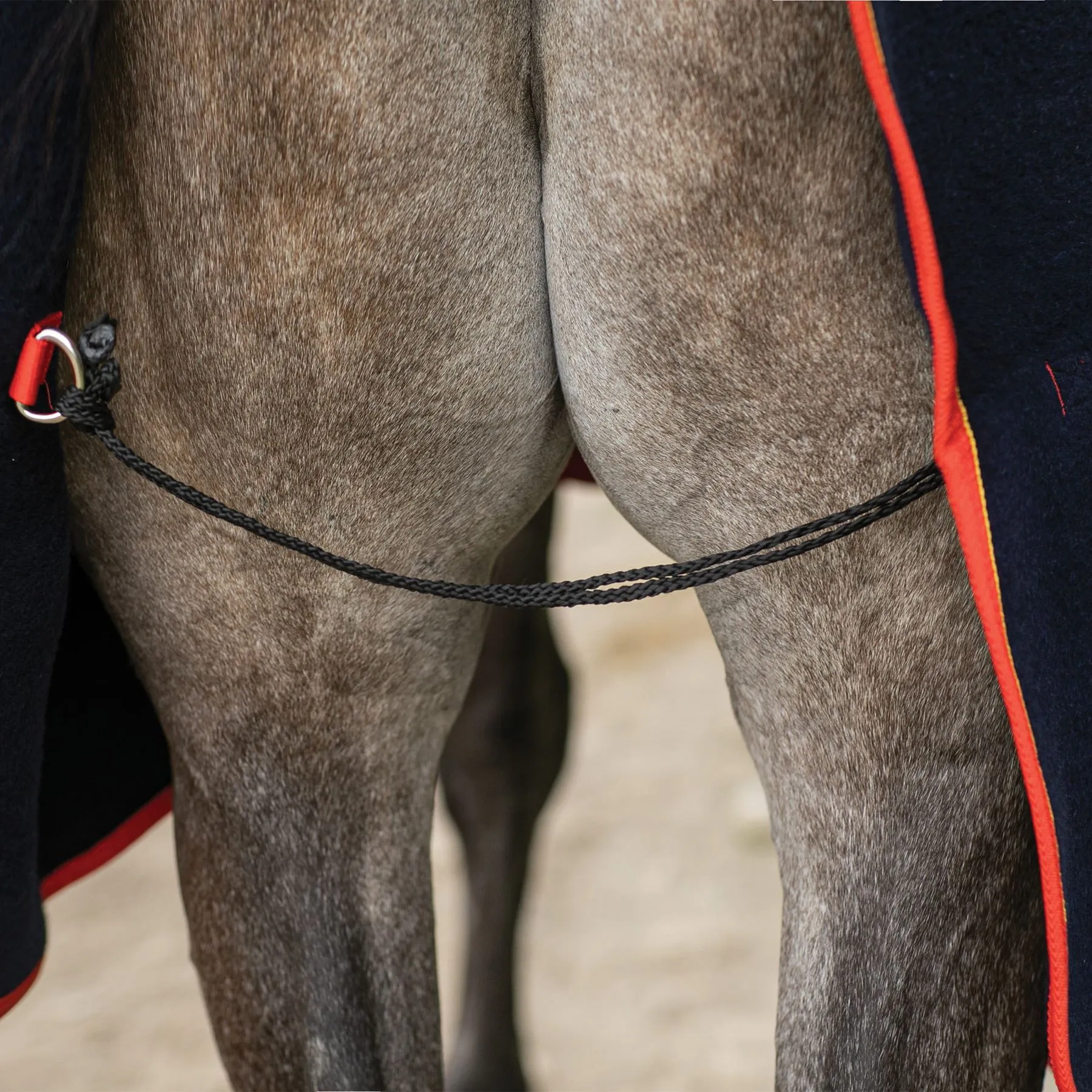 Dura-Tech® Wool Blend Contour Championship Award Cooler | Premium Horse Cooler Blanket 6 Dura-Tech® Wool Blend Contour Championship Award Cooler | Premium Horse Cooler Blanket - Image 6