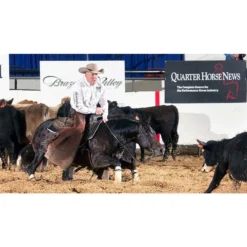 Adjusta-Fit Dura-Nylon V-Free Guardian Midweight Horse Stable Blanket - Comfort & Protection -Schneiders Shop 13157 prof b