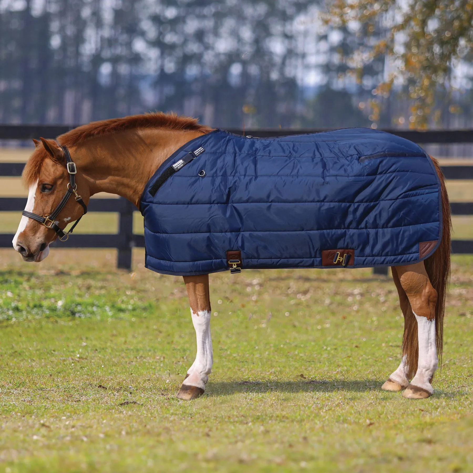 Adjusta-Fit Pony Leg Strap Horse Stable Blanket - Midweight Comfort for Your Equine 2 Adjusta-Fit Pony Leg Strap Horse Stable Blanket - Midweight Comfort for Your Equine - Image 2