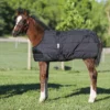 Dura-Nylon® Expandable Lightweight Foal Stable Blanket - Comfort & Durability for Young Horses