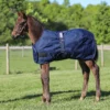 StormShield® Euro Bellyband 220g Medium Weight Foal Turnout Blanket - Waterproof Horse Blanket
