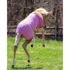 UltraFlex® Foal Saver® Lightweight Blanket - Premium Stable Blanket for Foals 10 UltraFlex® Foal Saver® Lightweight Blanket - Premium Stable Blanket for Foals -Schneiders Shop 16012c alt c
