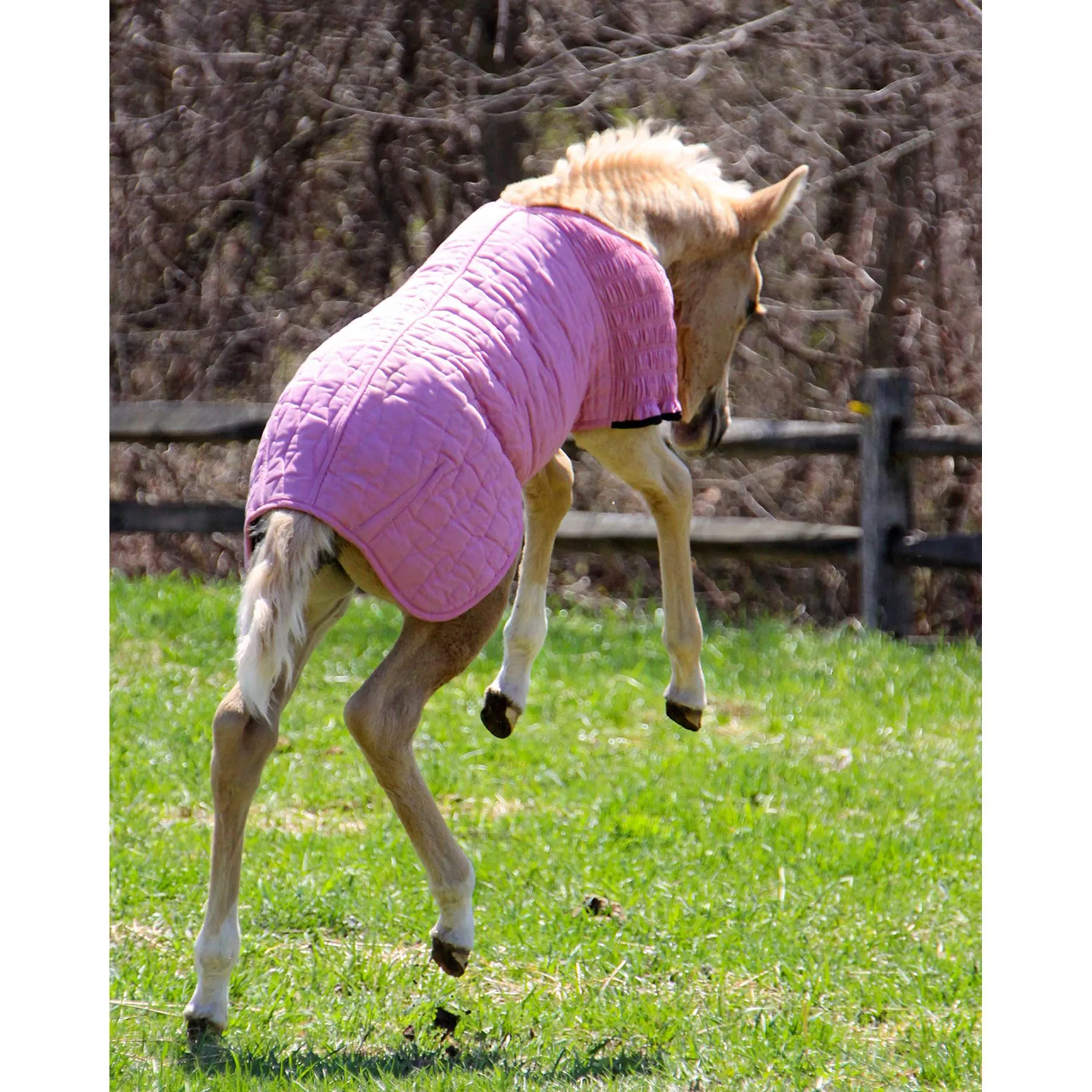 UltraFlex® Foal Saver® Lightweight Blanket - Premium Stable Blanket for Foals 4 UltraFlex® Foal Saver® Lightweight Blanket - Premium Stable Blanket for Foals - Image 4