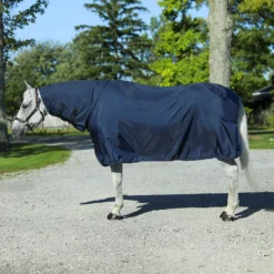 Schneiders Shop -Schneiders Shop 16089 alt a