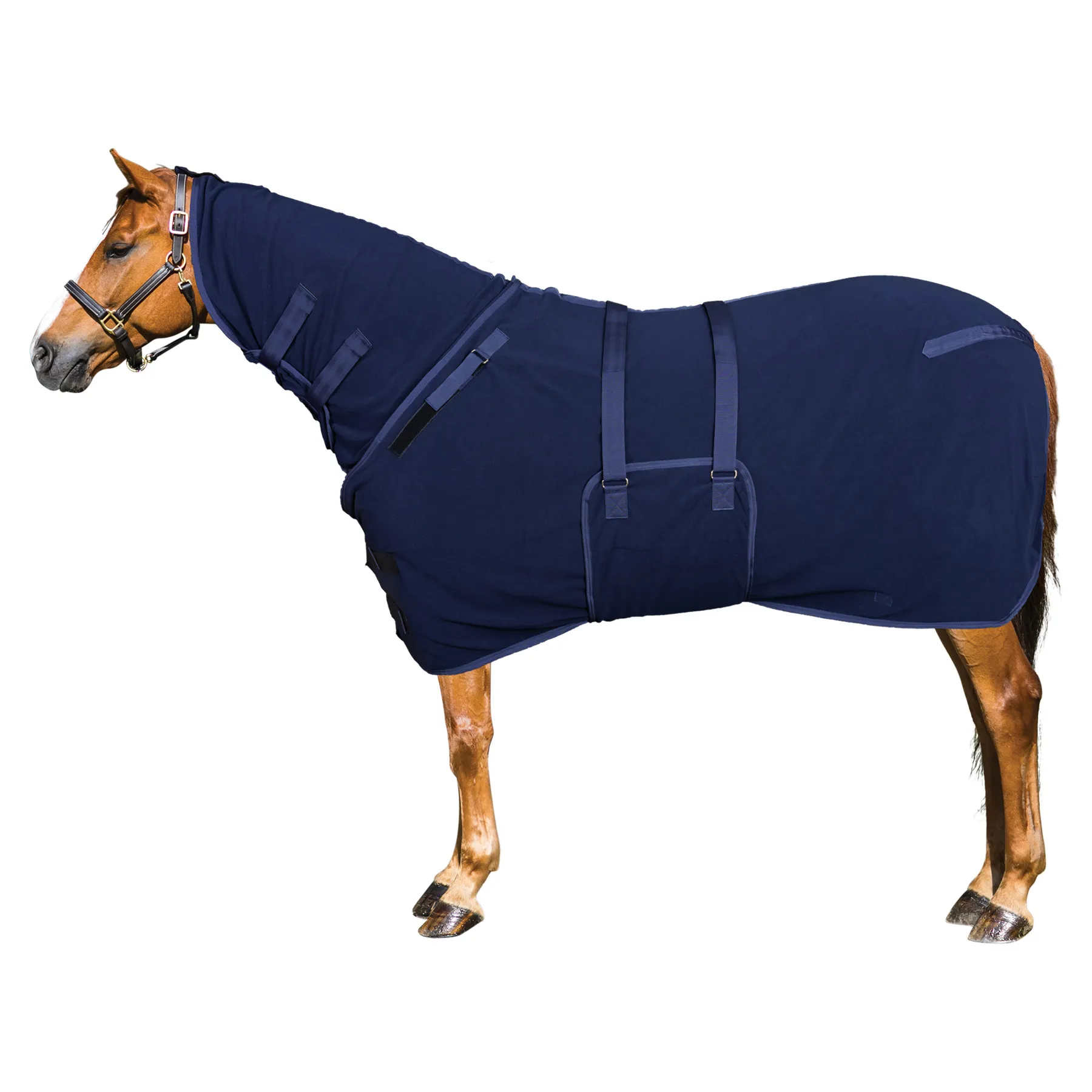 Dura-Tech® Polar Fleece Duo-Fit™ Cooler – Premium Horse Fleece Cooler Blanket 11 Dura-Tech® Polar Fleece Duo-Fit™ Cooler – Premium Horse Fleece Cooler Blanket - Image 11