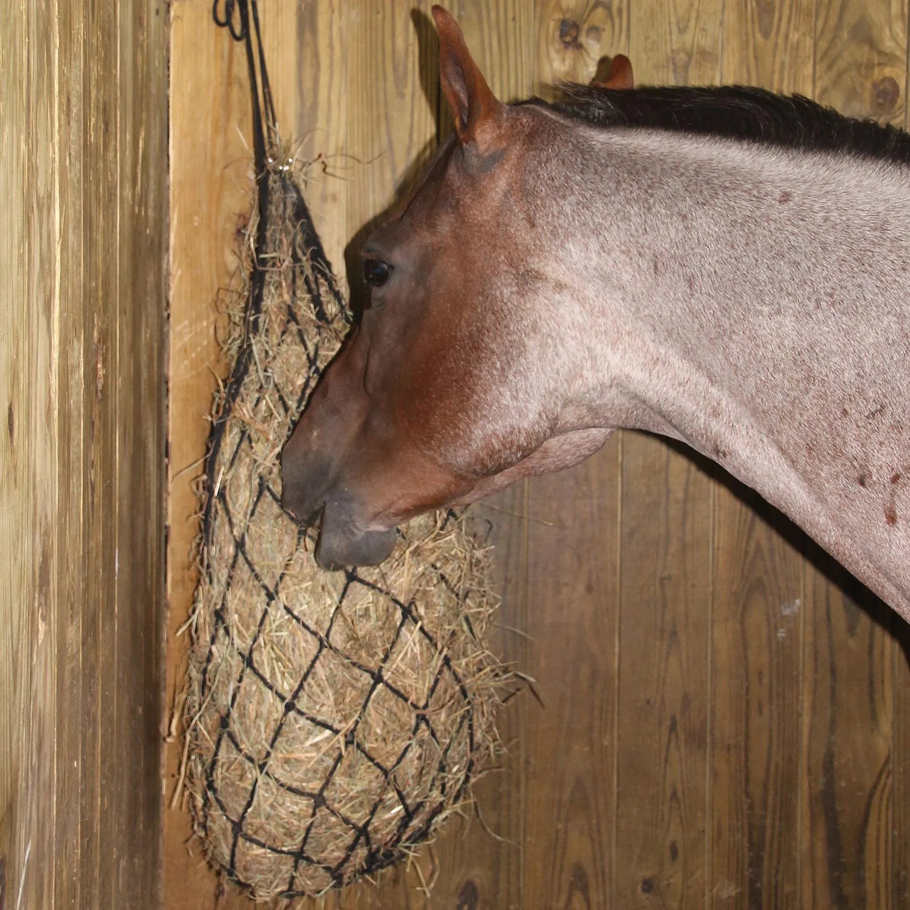 Dura-Tech® 3" Cotton Rope Hay Net - Heavy Duty Hay Feeder for Horses and Livestock 4 Dura-Tech® 3" Cotton Rope Hay Net - Heavy Duty Hay Feeder for Horses and Livestock - Image 4