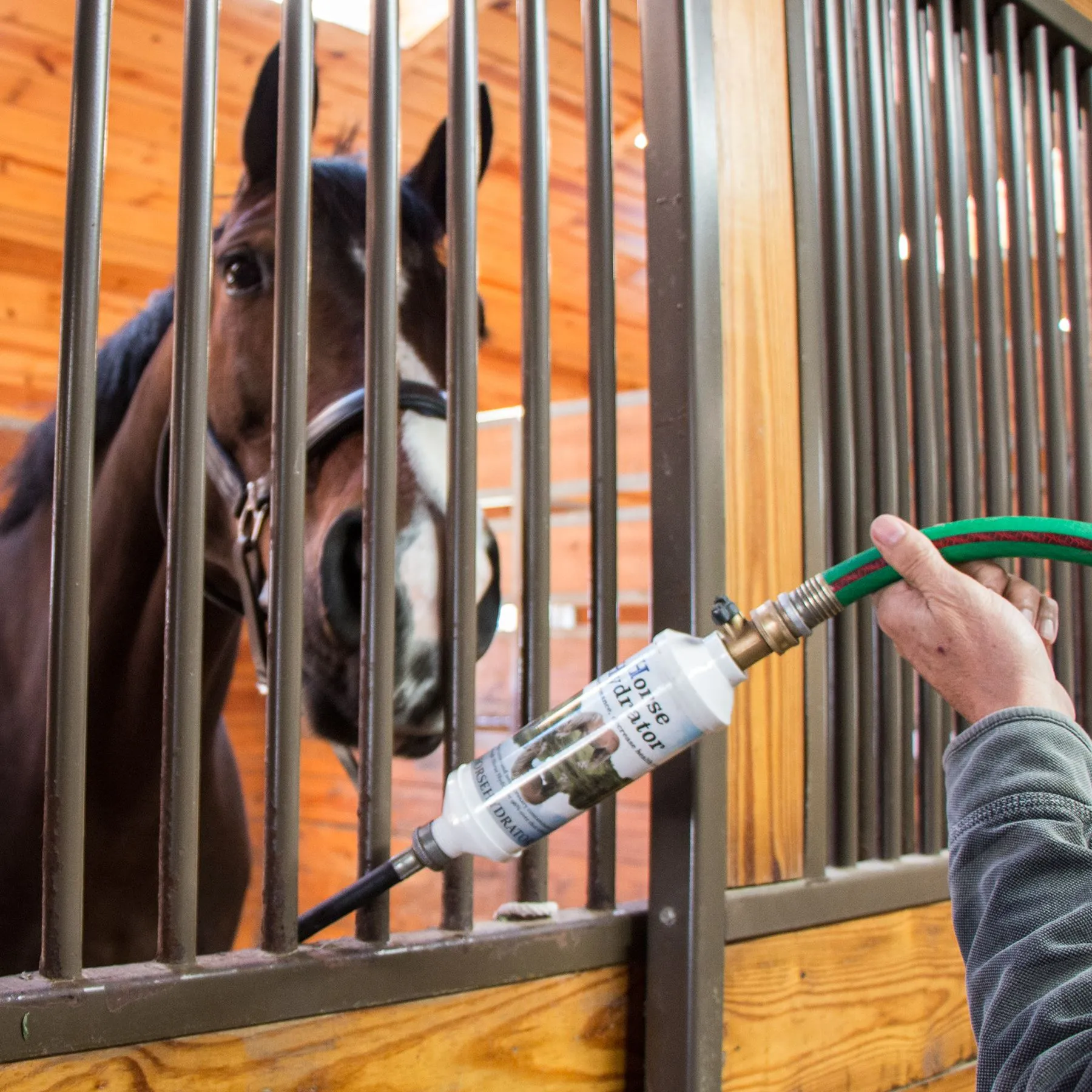 Horse Hydrator Water Filter System - Automatic Horse Waterer for Clean & Fresh Water 2 Horse Hydrator Water Filter System - Automatic Horse Waterer for Clean & Fresh Water - Image 2
