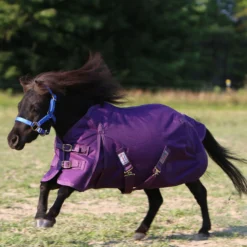 ARMORFlex® Challenger II Cutback Wither Adjusta-Fit® Surcingle Waterproof Horse Turnout Blanket 33 ARMORFlex® Challenger II Cutback Wither Adjusta-Fit® Surcingle Waterproof Horse Turnout Blanket -Schneiders Shop 32971c alt a