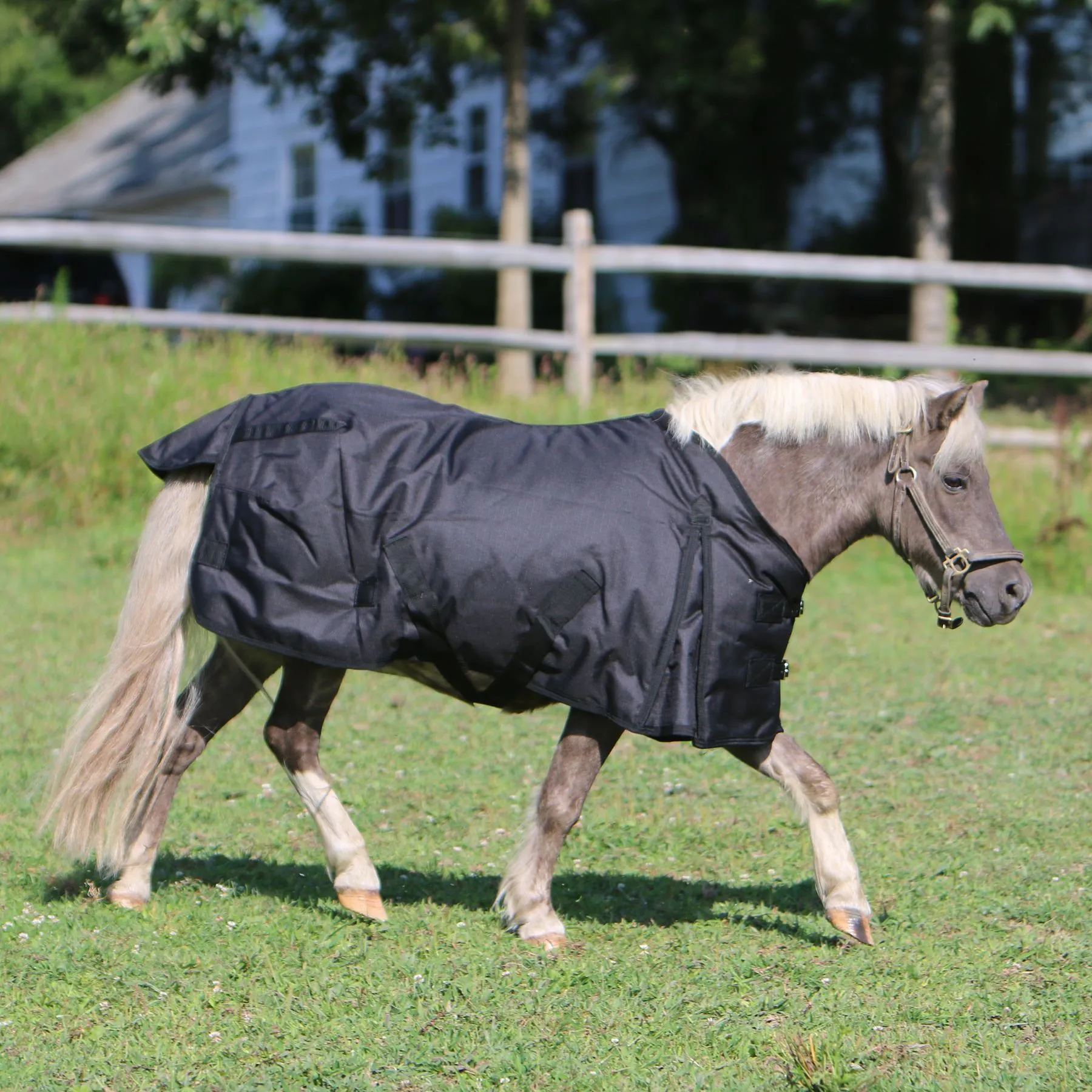 ARMORFlex® Challenger II Cutback Wither Adjusta-Fit® Surcingle Waterproof Horse Turnout Blanket 15 ARMORFlex® Challenger II Cutback Wither Adjusta-Fit® Surcingle Waterproof Horse Turnout Blanket - Image 15