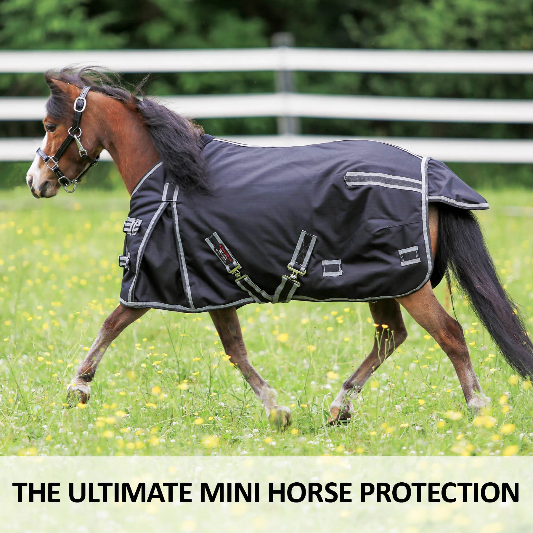 ARMORFlex® Challenger II Cutback Wither Adjusta-Fit® Surcingle Waterproof Horse Turnout Blanket 2 ARMORFlex® Challenger II Cutback Wither Adjusta-Fit® Surcingle Waterproof Horse Turnout Blanket - Image 2