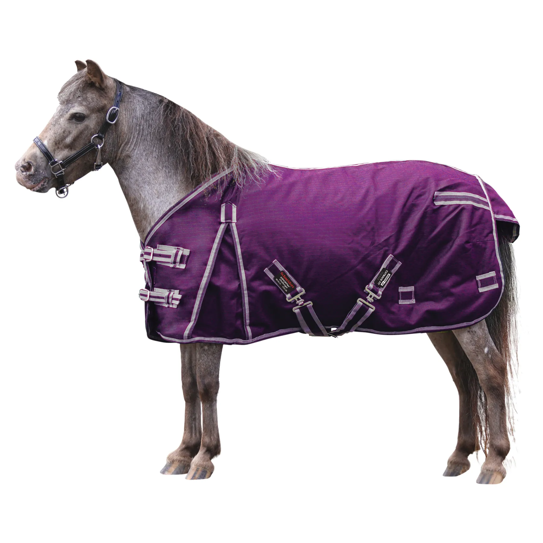 ARMORFlex® Challenger II Cutback Wither Adjusta-Fit® Surcingle Waterproof Horse Turnout Blanket 19 ARMORFlex® Challenger II Cutback Wither Adjusta-Fit® Surcingle Waterproof Horse Turnout Blanket - Image 19