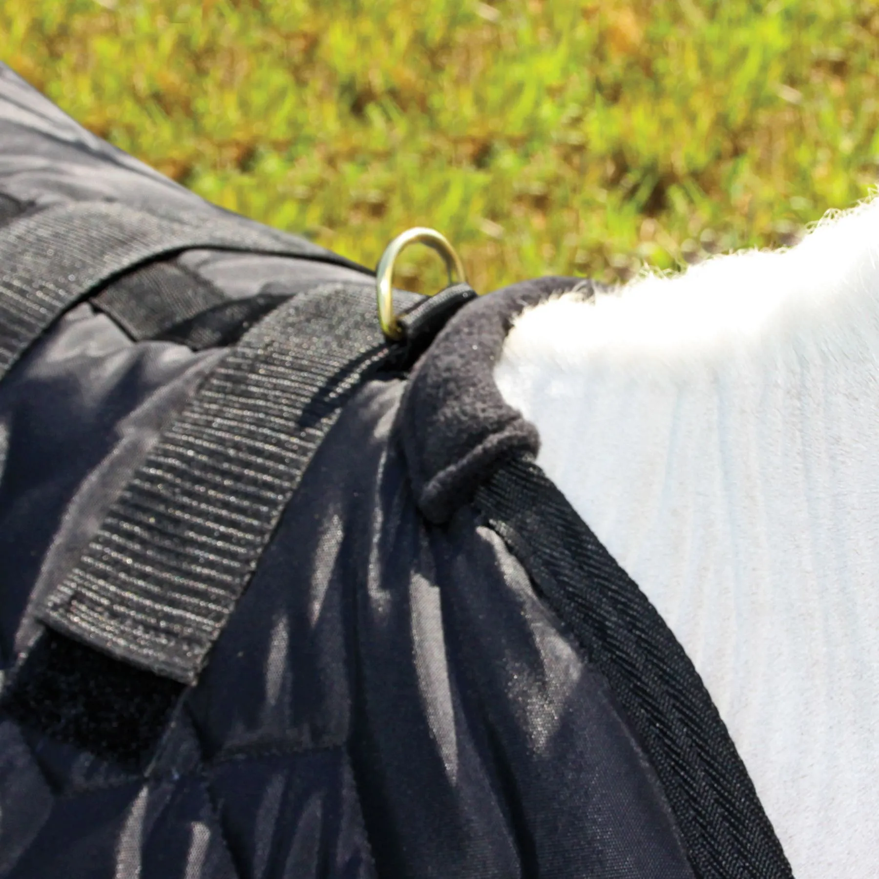 Adjusta-Fit Dura-Nylon Open Front Miniature Horse Stable Blanket | Premium Quality Horse Blankets 10 Adjusta-Fit Dura-Nylon Open Front Miniature Horse Stable Blanket | Premium Quality Horse Blankets - Image 10