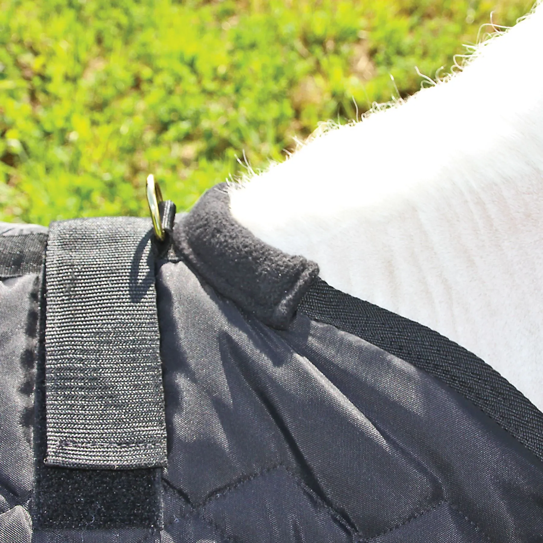 Adjusta-Fit Dura-Nylon Open Front Miniature Horse Stable Blanket | Premium Quality Horse Blankets 11 Adjusta-Fit Dura-Nylon Open Front Miniature Horse Stable Blanket | Premium Quality Horse Blankets - Image 11