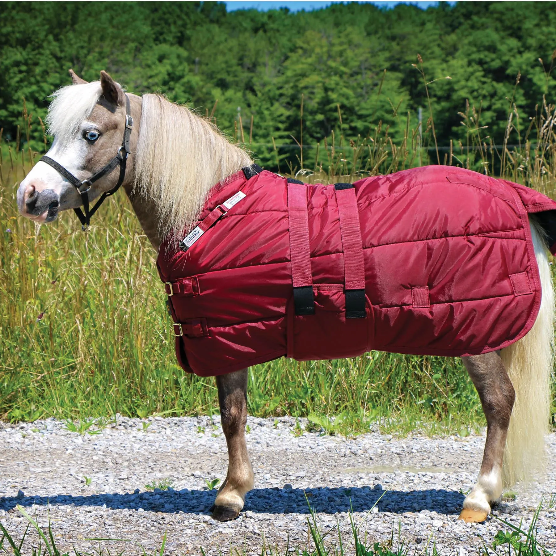 Adjusta-Fit Dura-Nylon Open Front Miniature Horse Stable Blanket | Premium Quality Horse Blankets 2 Adjusta-Fit Dura-Nylon Open Front Miniature Horse Stable Blanket | Premium Quality Horse Blankets - Image 2
