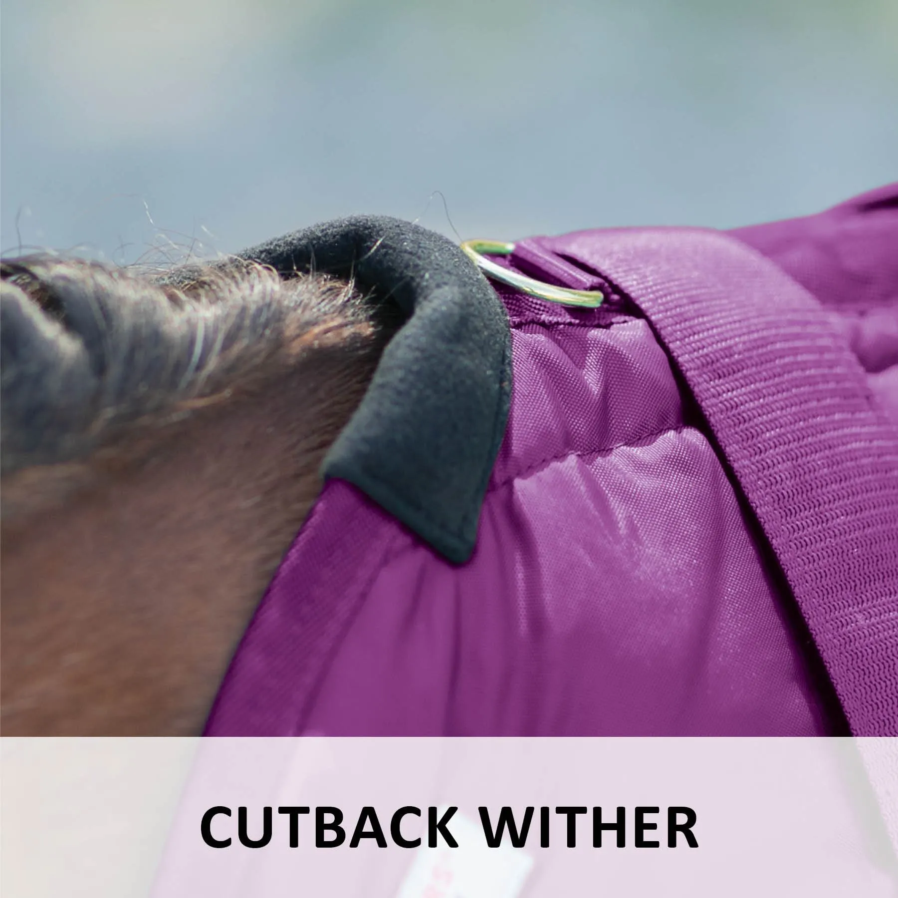 Adjusta-Fit Dura-Nylon Open Front Miniature Horse Stable Blanket | Premium Quality Horse Blankets 3 Adjusta-Fit Dura-Nylon Open Front Miniature Horse Stable Blanket | Premium Quality Horse Blankets - Image 3