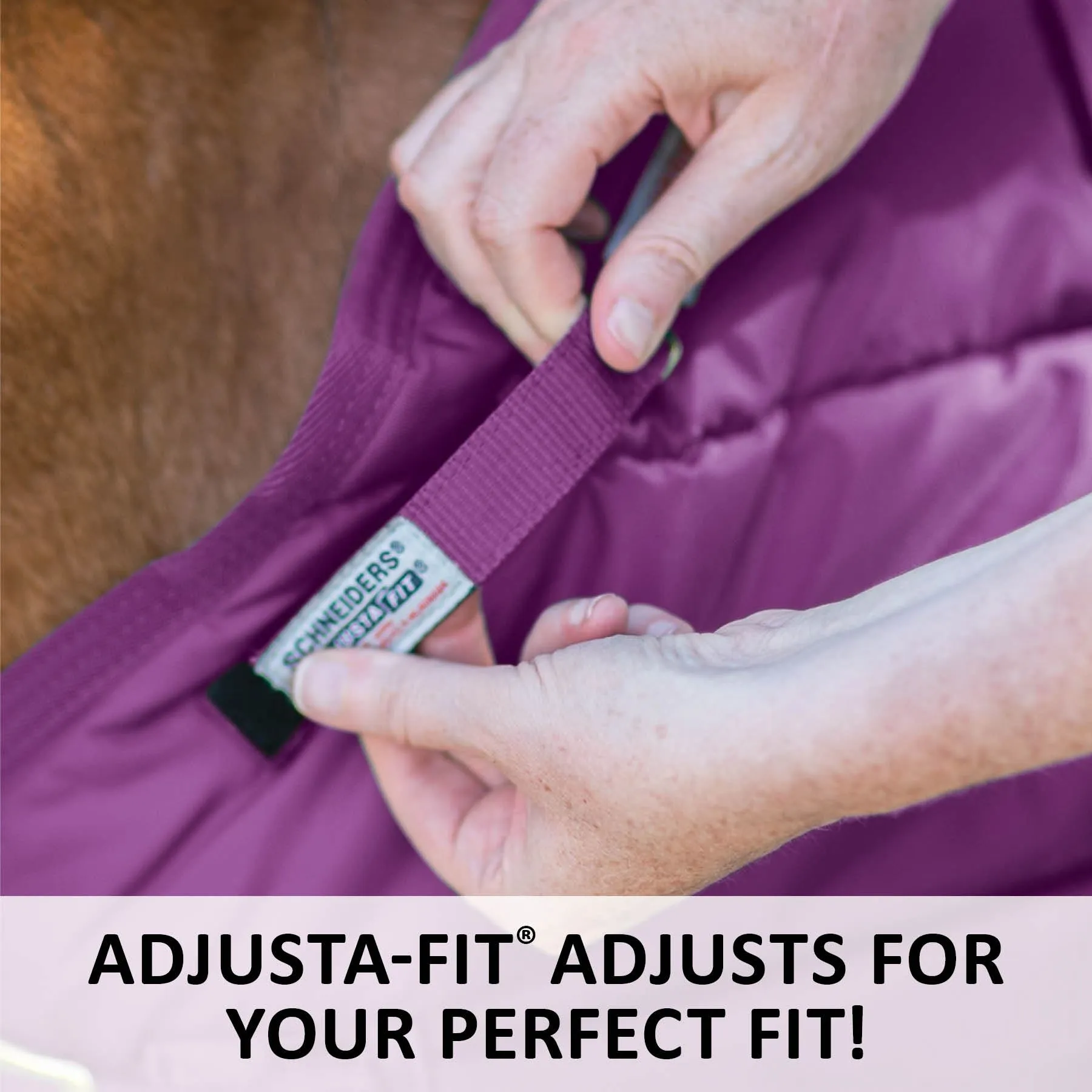 Adjusta-Fit Dura-Nylon Open Front Miniature Horse Stable Blanket | Premium Quality Horse Blankets 4 Adjusta-Fit Dura-Nylon Open Front Miniature Horse Stable Blanket | Premium Quality Horse Blankets - Image 4