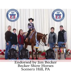 Adjusta-Fit Tekno-Quilt V-Free Heavyweight Horse Stable Blanket for Ultimate Comfort -Schneiders Shop 35317 prof a overlay