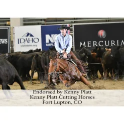 Adjusta-Fit Tekno-Quilt V-Free Heavyweight Horse Stable Blanket for Ultimate Comfort -Schneiders Shop 35317 prof b overlay