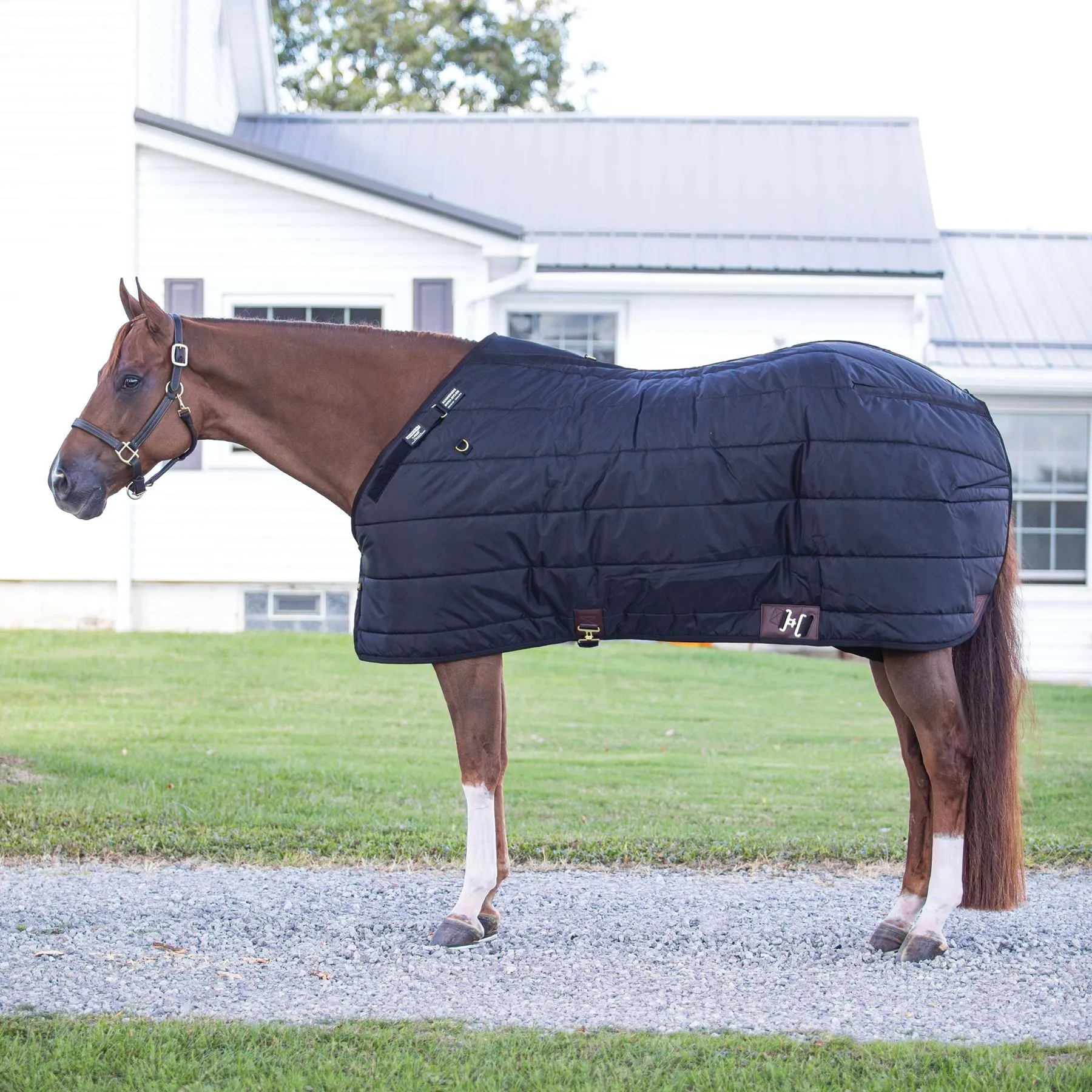 Adjusta-Fit Dura-Nylon V-Free Westcoast Leg Strap Horse Stable Blanket - Midweight, Horse Blankets for Comfort & Durability 2 Adjusta-Fit Dura-Nylon V-Free Westcoast Leg Strap Horse Stable Blanket - Midweight, Horse Blankets for Comfort & Durability - Image 2