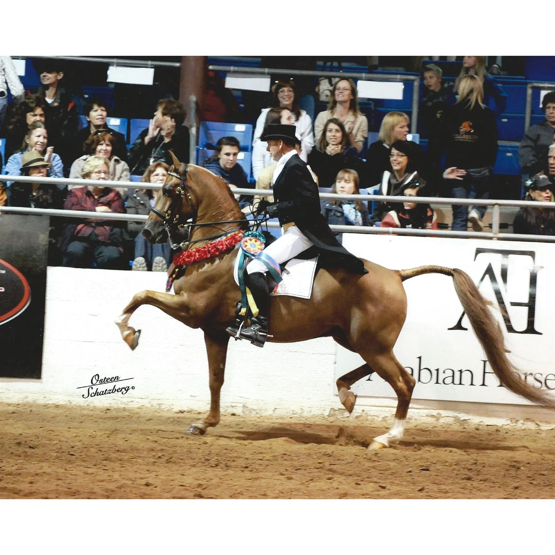 Adjusta-Fit Dura-Nylon V-Free Westcoast Leg Strap Horse Stable Blanket - Midweight, Horse Blankets for Comfort & Durability 9 Adjusta-Fit Dura-Nylon V-Free Westcoast Leg Strap Horse Stable Blanket - Midweight, Horse Blankets for Comfort & Durability - Image 9