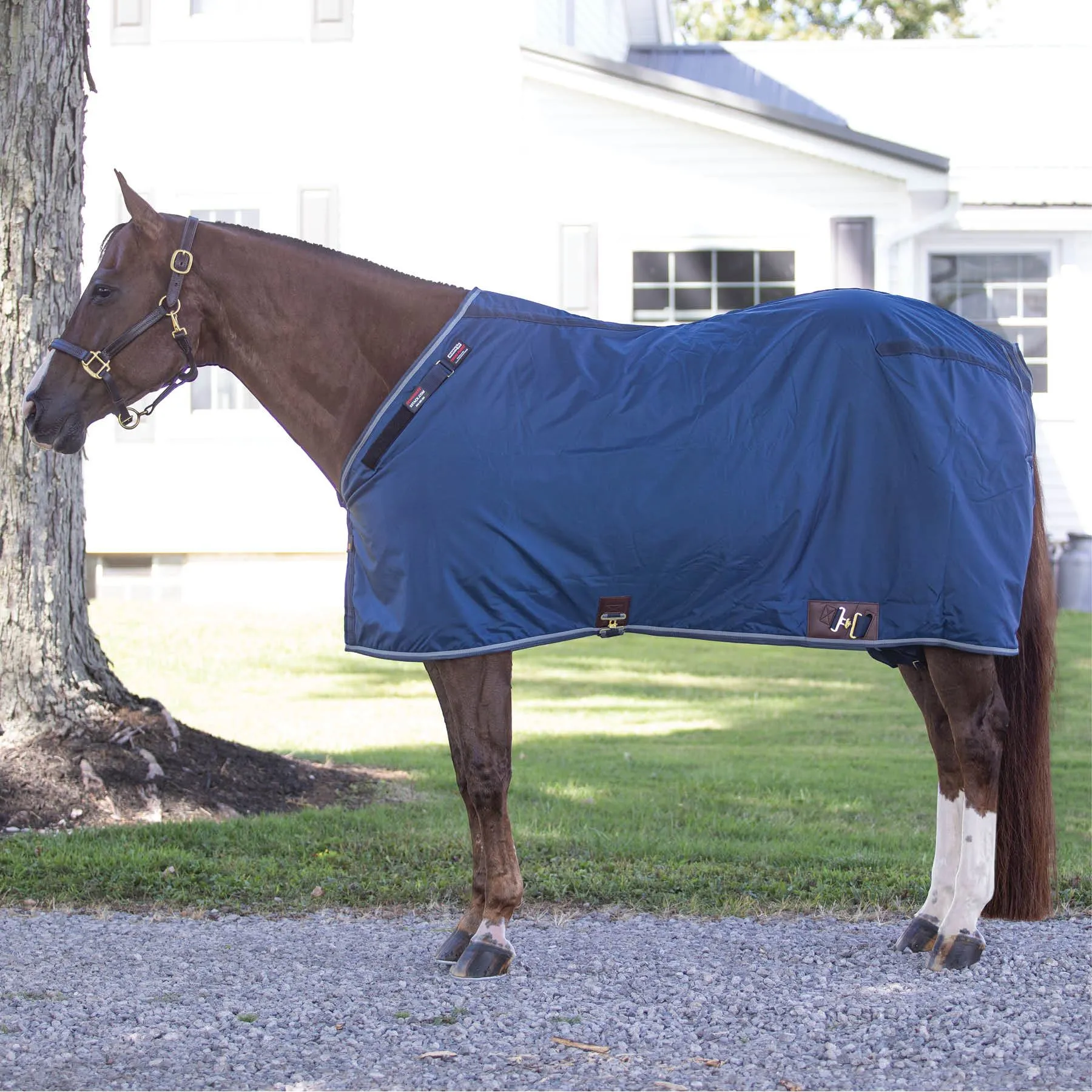 Adjusta-Fit Dura-Nylon Tekno-Fleece V-Free 3 Season Horse Blanket | Lightweight Stable Blanket 2 Adjusta-Fit Dura-Nylon Tekno-Fleece V-Free 3 Season Horse Blanket | Lightweight Stable Blanket - Image 2