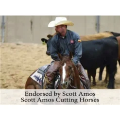 Dura-Tech® Western Performance Contour Fleece Cooler - Premium Horse Cooler Blanket -Schneiders Shop 38050 prof b overlay