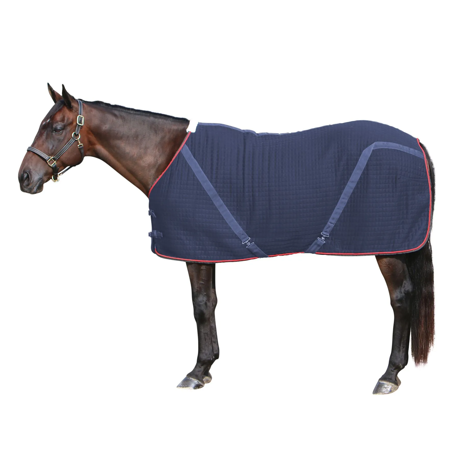Dura-Tech® Ashby Thermal Rug Stable Sheet - Breathable Horse Cooler Blanket - Scrim & Anti-Sweat Sheet for Horses 2 Dura-Tech® Ashby Thermal Rug Stable Sheet - Breathable Horse Cooler Blanket - Scrim & Anti-Sweat Sheet for Horses - Image 2