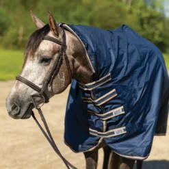 Dura-Tech® Waterproof Contour Horse Show Cover Rain Sheet | Premium Horse Cooler Blanket 13 Dura-Tech® Waterproof Contour Horse Show Cover Rain Sheet | Premium Horse Cooler Blanket -Schneiders Shop 38535 alt b