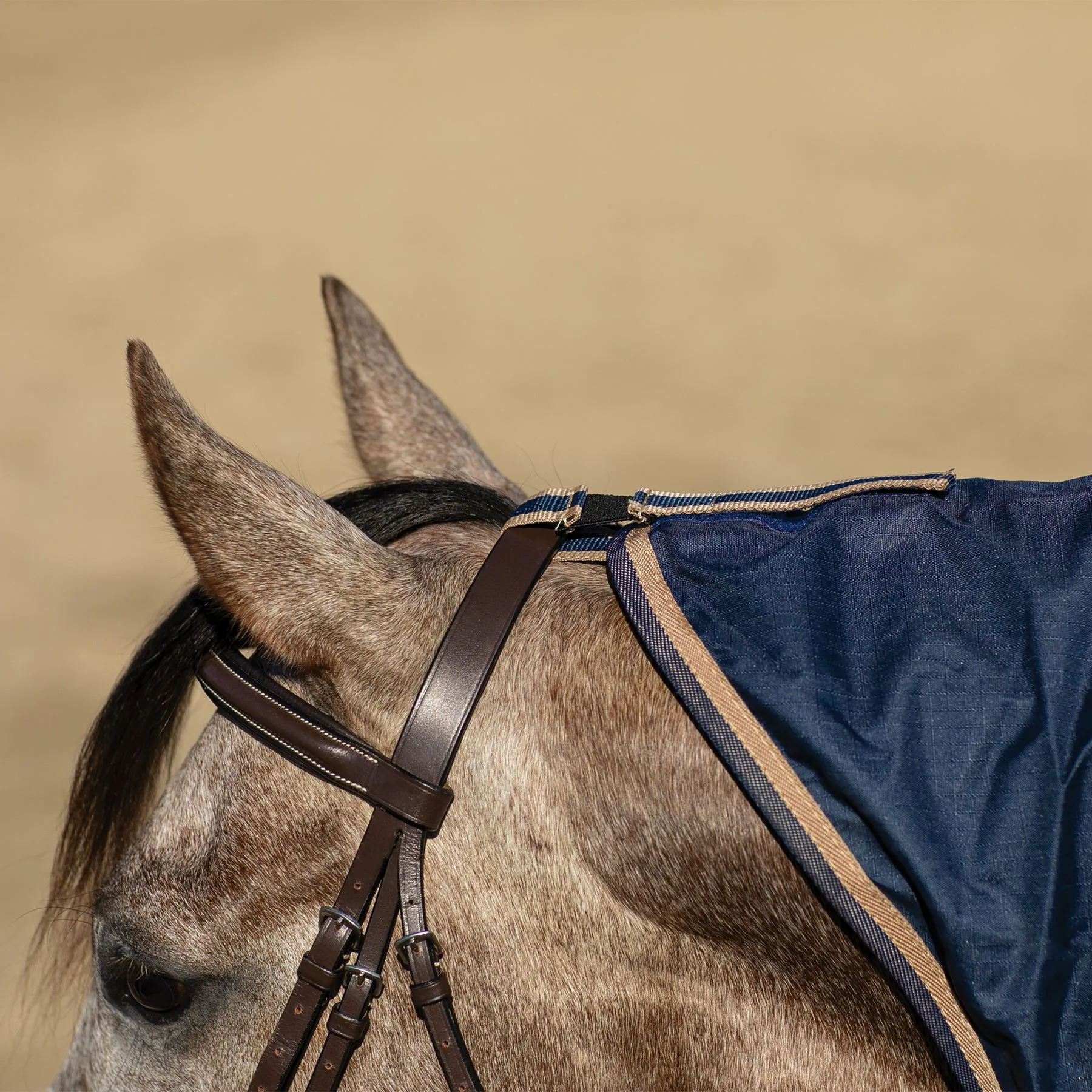 Dura-Tech® Waterproof Contour Horse Show Cover Rain Sheet | Premium Horse Cooler Blanket 5 Dura-Tech® Waterproof Contour Horse Show Cover Rain Sheet | Premium Horse Cooler Blanket - Image 5