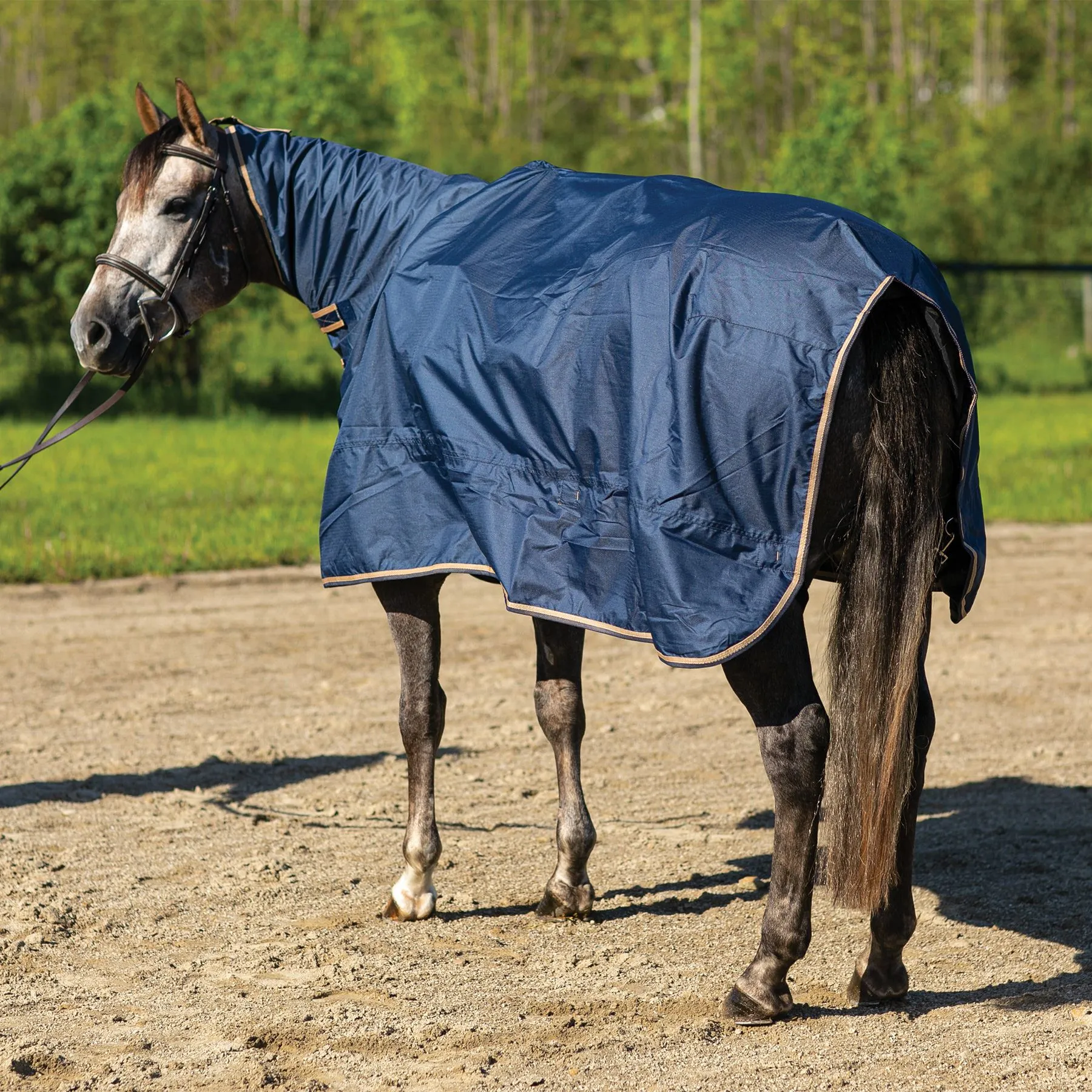 Dura-Tech® Waterproof Contour Horse Show Cover Rain Sheet | Premium Horse Cooler Blanket 8 Dura-Tech® Waterproof Contour Horse Show Cover Rain Sheet | Premium Horse Cooler Blanket - Image 8