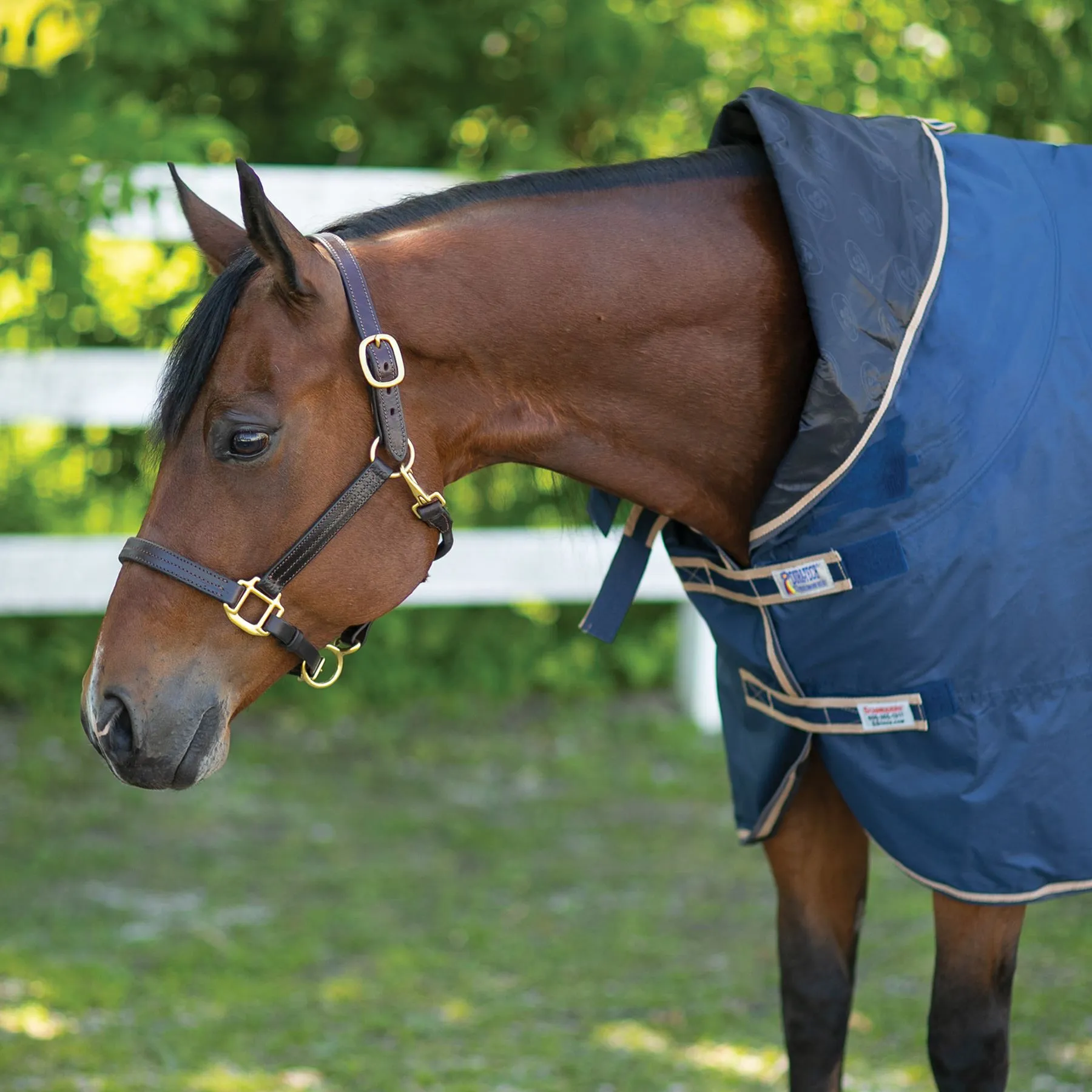 Dura-Tech® Waterproof Contour Horse Show Cover Rain Sheet | Premium Horse Cooler Blanket 11 Dura-Tech® Waterproof Contour Horse Show Cover Rain Sheet | Premium Horse Cooler Blanket - Image 11