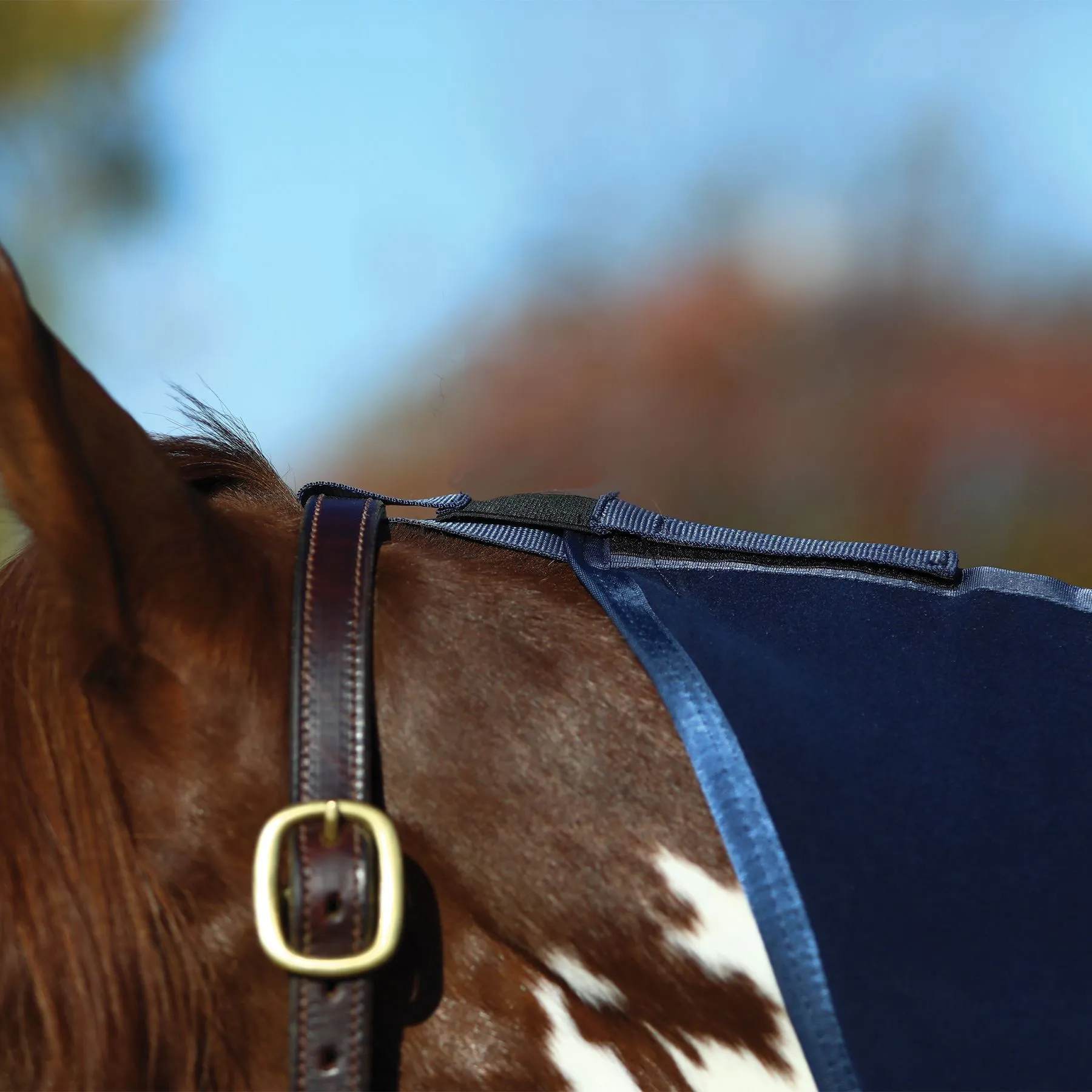 Dura-Tech® Polar Fleece Contour Cooler - Premium Horse Cooler Blanket for Comfort & Style 4 Dura-Tech® Polar Fleece Contour Cooler - Premium Horse Cooler Blanket for Comfort & Style - Image 4