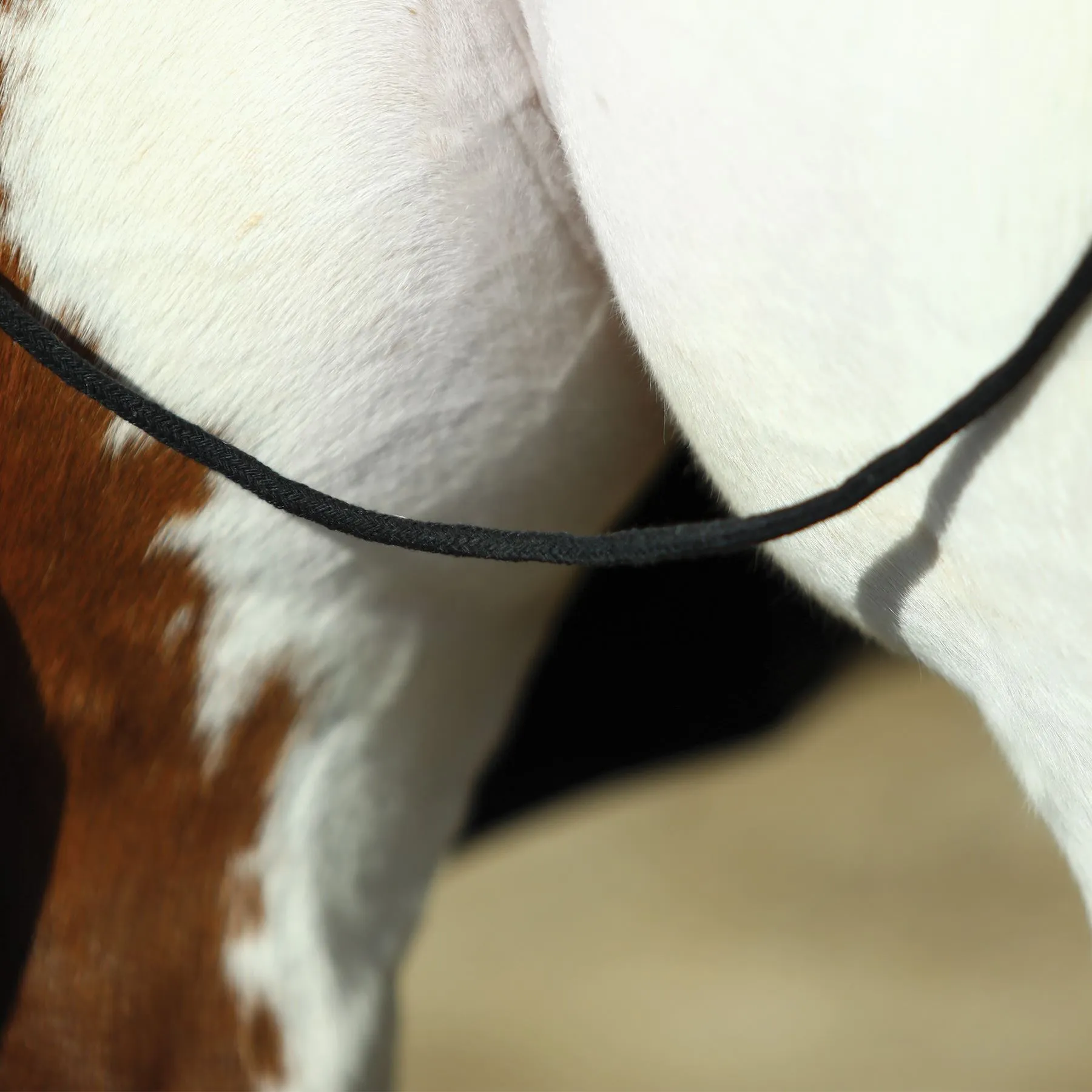 Dura-Tech® Polar Fleece Contour Cooler - Premium Horse Cooler Blanket for Comfort & Style 7 Dura-Tech® Polar Fleece Contour Cooler - Premium Horse Cooler Blanket for Comfort & Style - Image 7