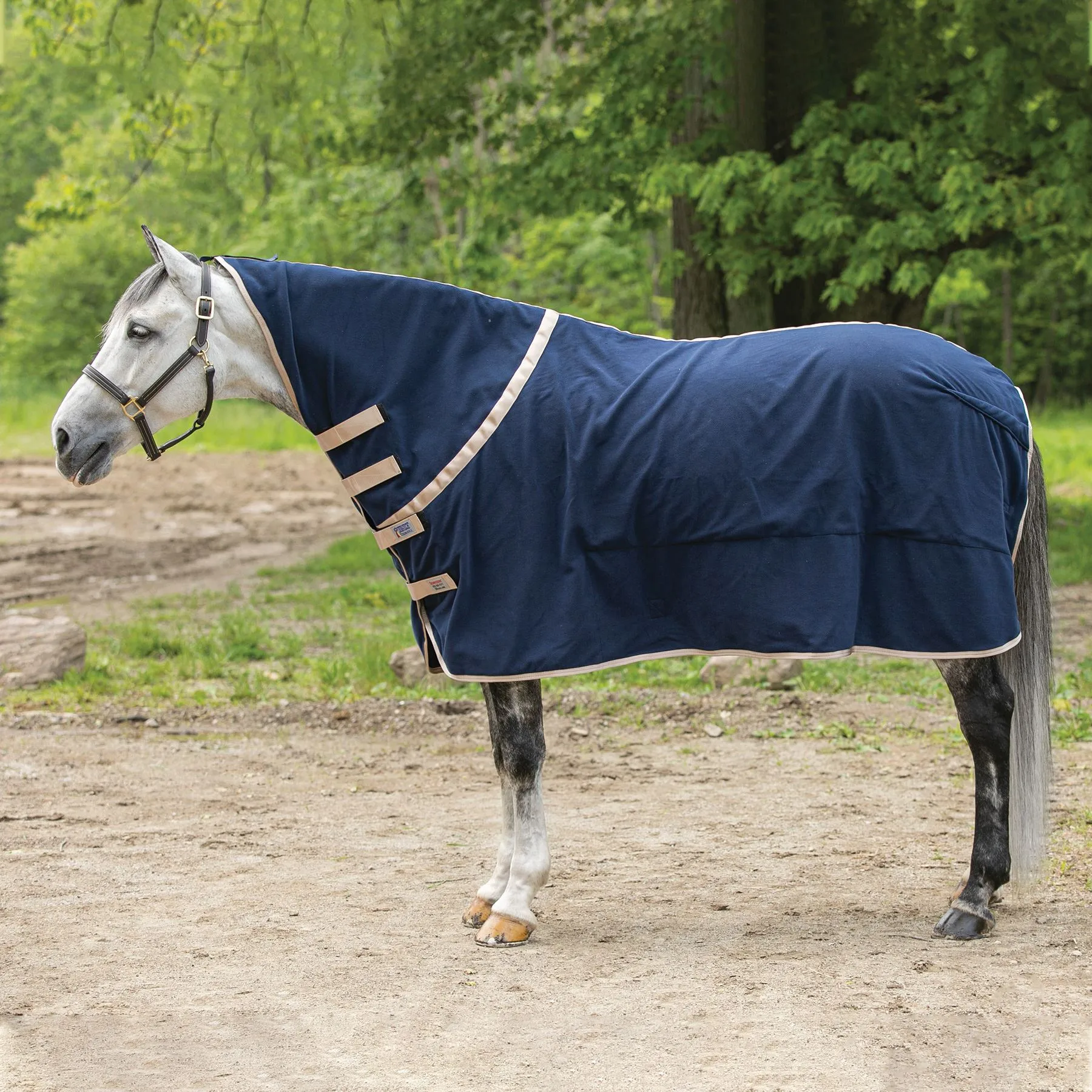 Dura-Tech® Tekno-Dri® Advanced Fleece Contour Cooler - Premium Horse Cooler Blanket 2 Dura-Tech® Tekno-Dri® Advanced Fleece Contour Cooler - Premium Horse Cooler Blanket - Image 2