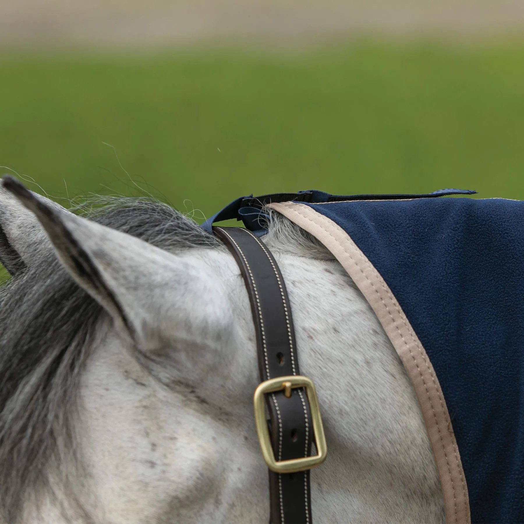 Dura-Tech® Tekno-Dri® Advanced Fleece Contour Cooler - Premium Horse Cooler Blanket 5 Dura-Tech® Tekno-Dri® Advanced Fleece Contour Cooler - Premium Horse Cooler Blanket - Image 5