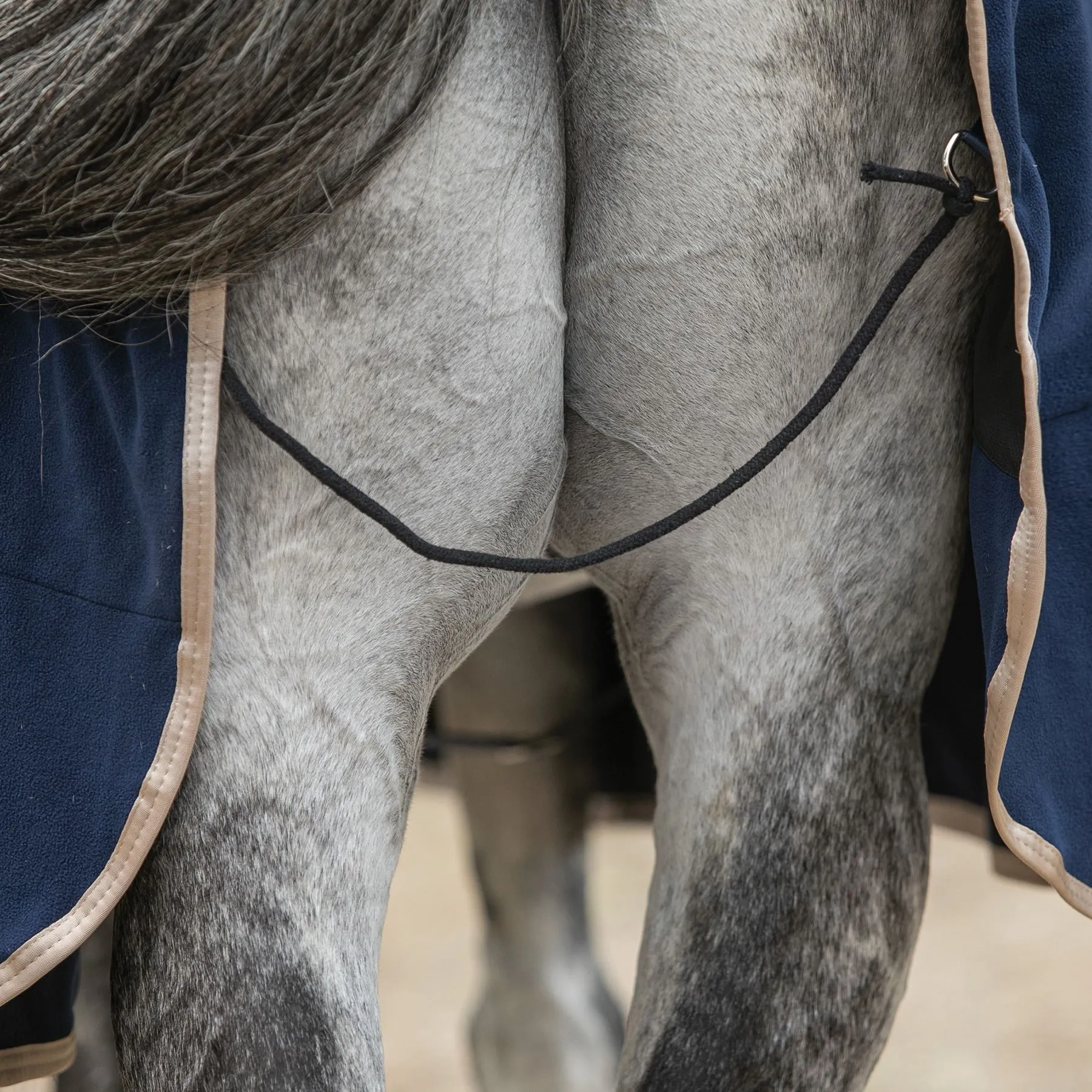 Dura-Tech® Tekno-Dri® Advanced Fleece Contour Cooler - Premium Horse Cooler Blanket 9 Dura-Tech® Tekno-Dri® Advanced Fleece Contour Cooler - Premium Horse Cooler Blanket - Image 9