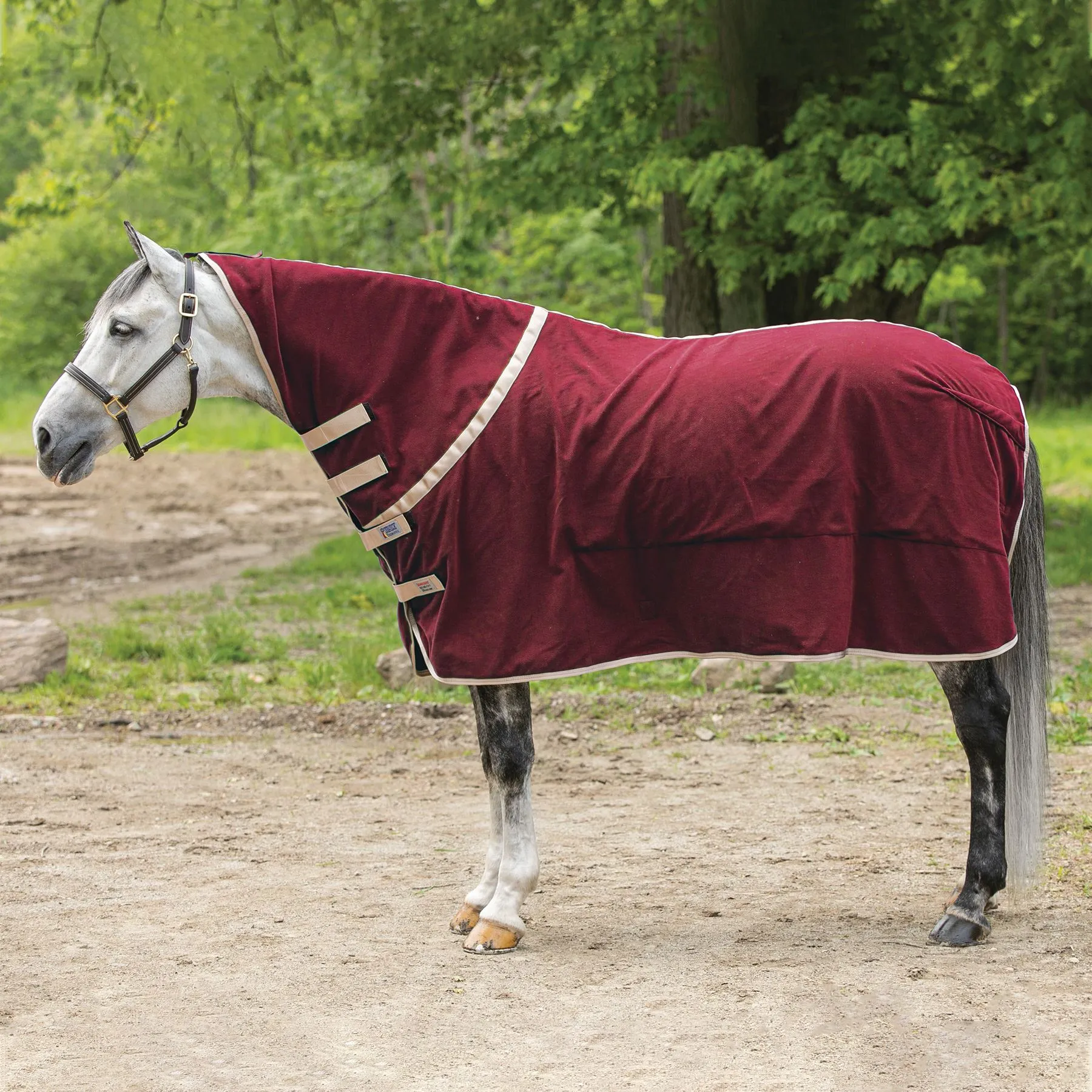Dura-Tech® Tekno-Dri® Advanced Fleece Contour Cooler - Premium Horse Cooler Blanket 14 Dura-Tech® Tekno-Dri® Advanced Fleece Contour Cooler - Premium Horse Cooler Blanket - Image 14