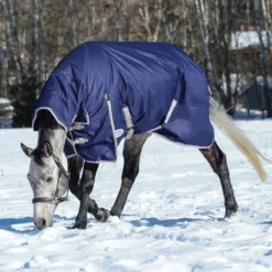 Weatherbeeta® ComFiTec® Essential Combo Neck Medium Weight Turnout Blanket - Waterproof Horse Blanket -Schneiders Shop 38869 alt b