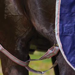 Weatherbeeta® ComFiTec® Essential Combo Neck Medium Weight Turnout Blanket - Waterproof Horse Blanket -Schneiders Shop 38869 alt h