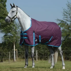 WeatherBeeta® ComFiTec® Essential Standard Neck Medium Weight Turnout Blanket - Waterproof Horse Blanket